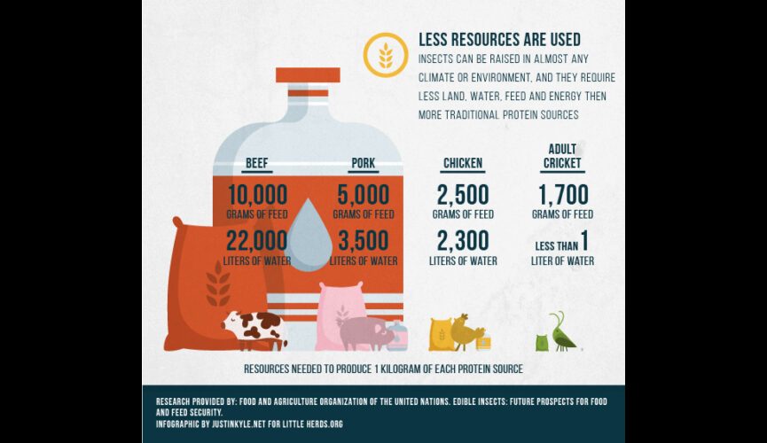 LH Feed&#038;H2O Infographic