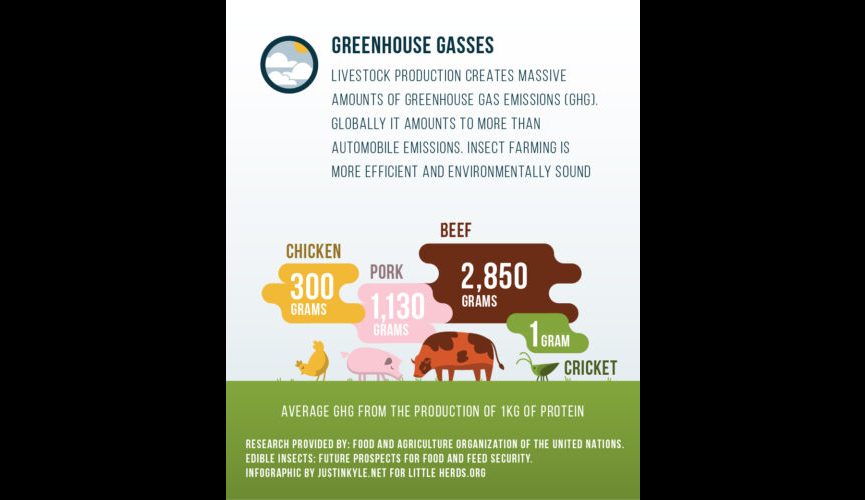 LH GHG Infographic