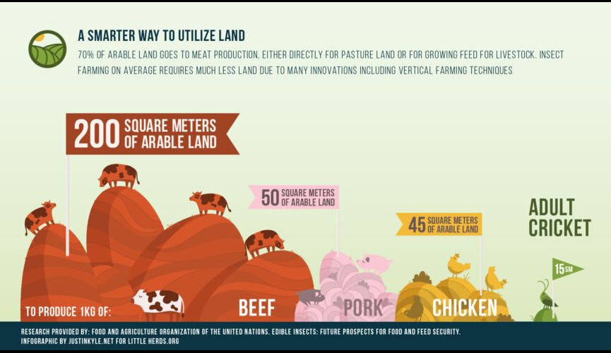 LH Land Infographic