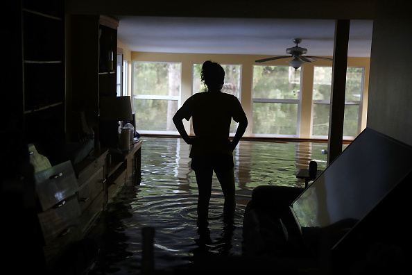 A woman surveys the flood damage to her home on August 17 in Sorrento, Louisiana.  Last week Louisiana was overwhelmed with flood water causing at least 13 deaths and damage to thousands of homes.