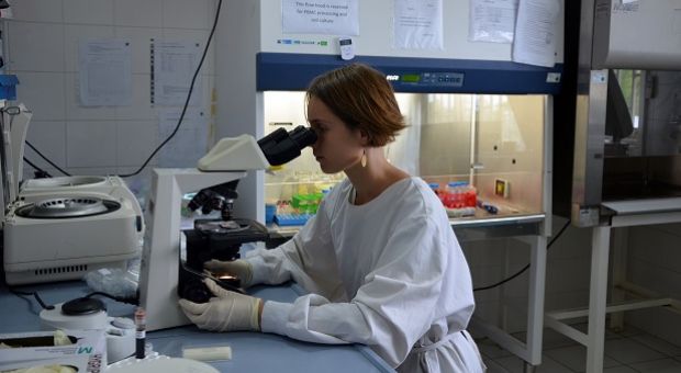 A researcher analyzes children's blood platelets to test the effectiveness of the experimental vaccine against malaria at the Albert Schweitzer Hospital in Lambarene, Gabon.